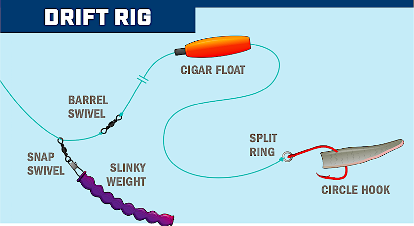 catfishing, drift rig, bottom fishing