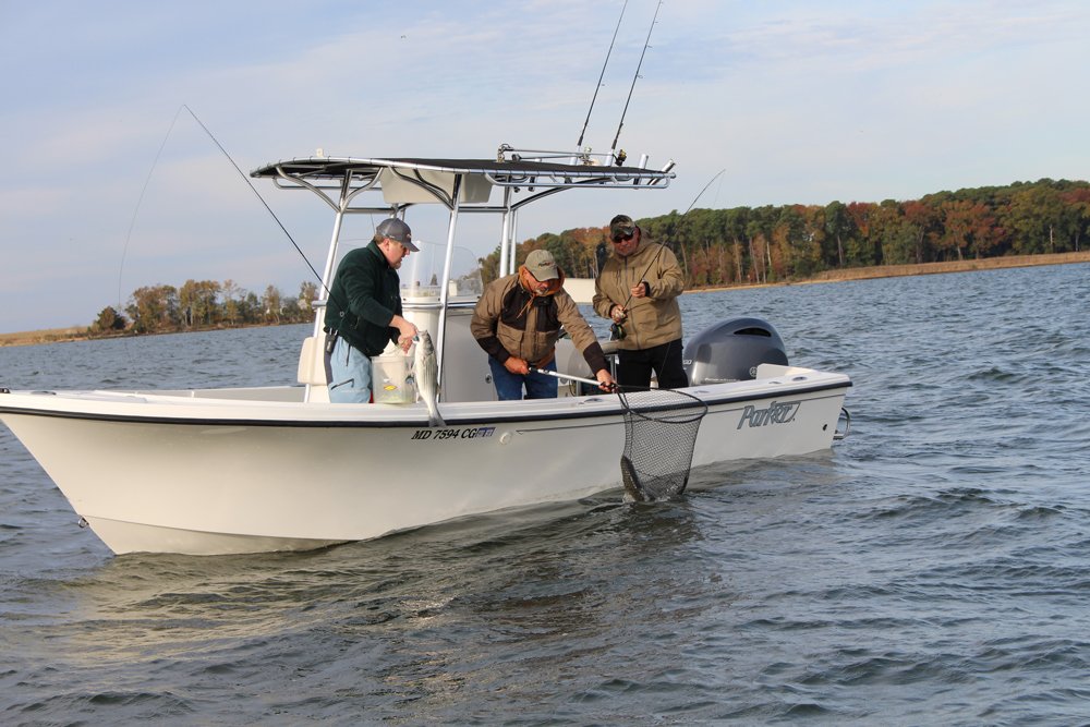 fishing from a center console